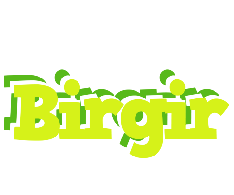 Birgir citrus logo