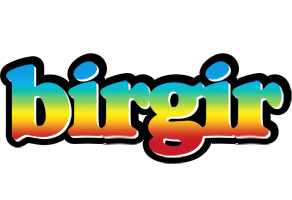 Birgir color logo