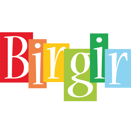 Birgir colors logo