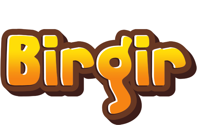 Birgir cookies logo