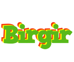 Birgir crocodile logo