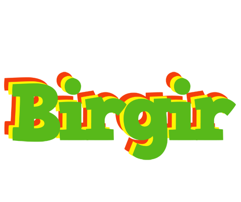 Birgir crocodile logo