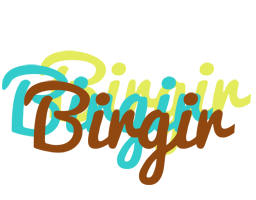 Birgir cupcake logo