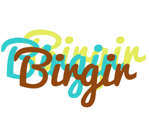 Birgir cupcake logo