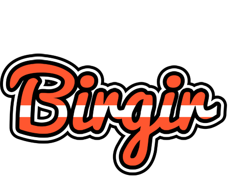 Birgir denmark logo