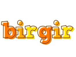 Birgir desert logo