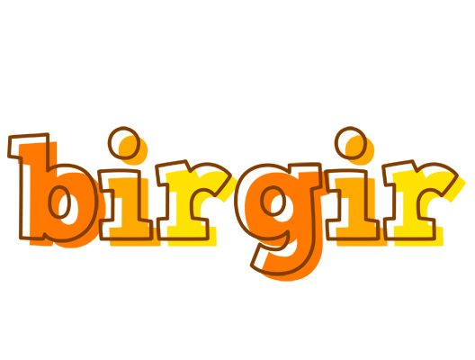 Birgir desert logo