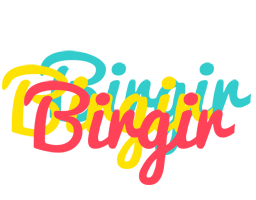 Birgir disco logo