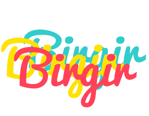 Birgir disco logo