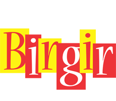 Birgir errors logo