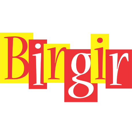 Birgir errors logo