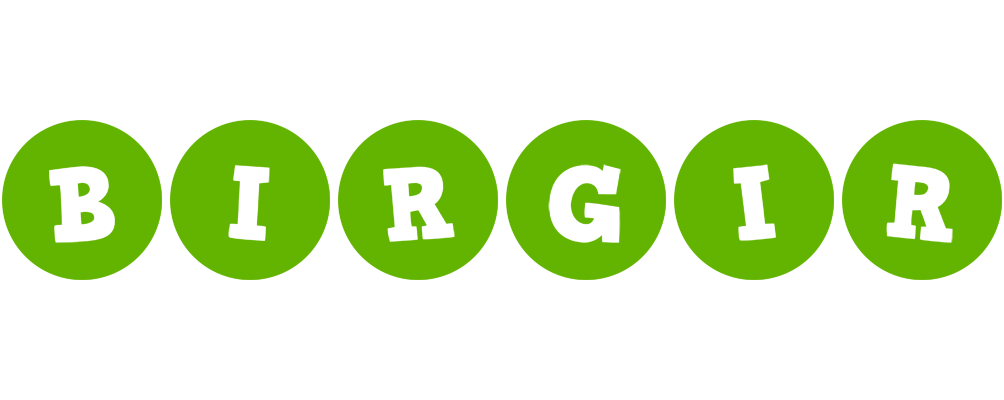 Birgir games logo