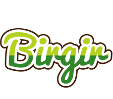 Birgir golfing logo