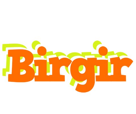 Birgir healthy logo