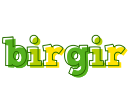 Birgir juice logo