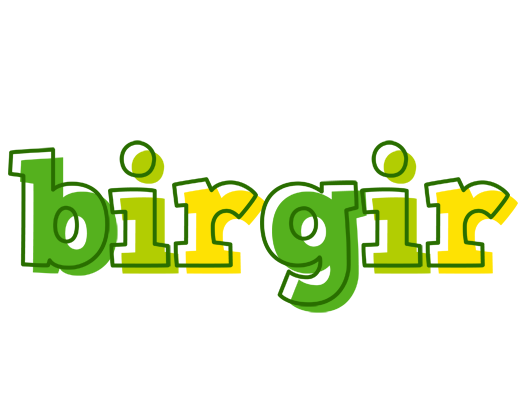 Birgir juice logo