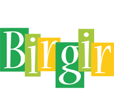 Birgir lemonade logo