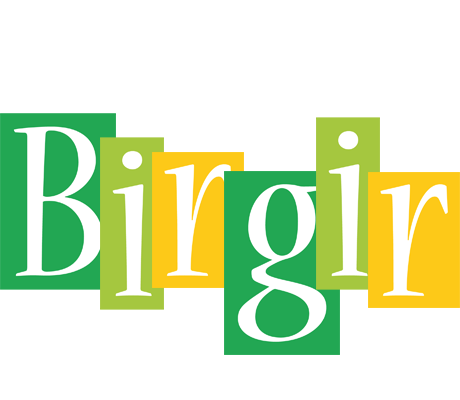 Birgir lemonade logo