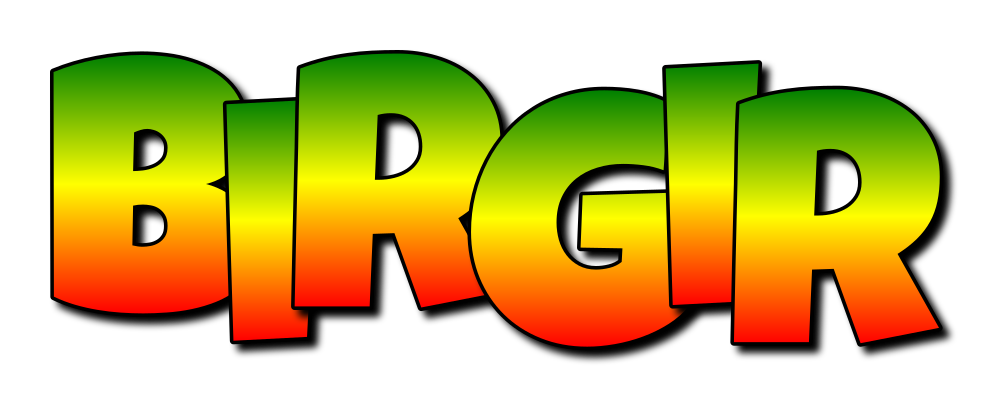 Birgir mango logo