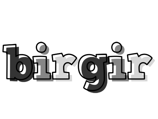 Birgir night logo