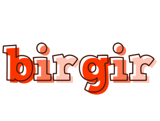 Birgir paint logo