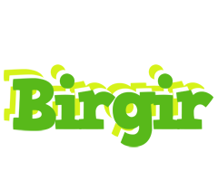 Birgir picnic logo