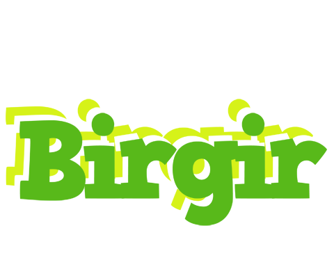 Birgir picnic logo