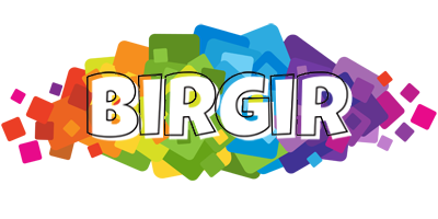 Birgir pixels logo