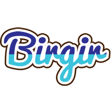 Birgir raining logo