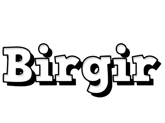 Birgir snowing logo