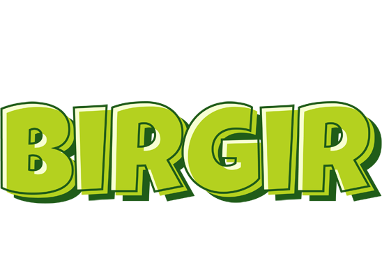 Birgir summer logo