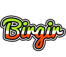 Birgir superfun logo