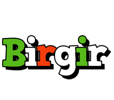 Birgir venezia logo