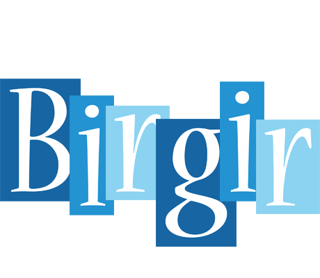 Birgir winter logo