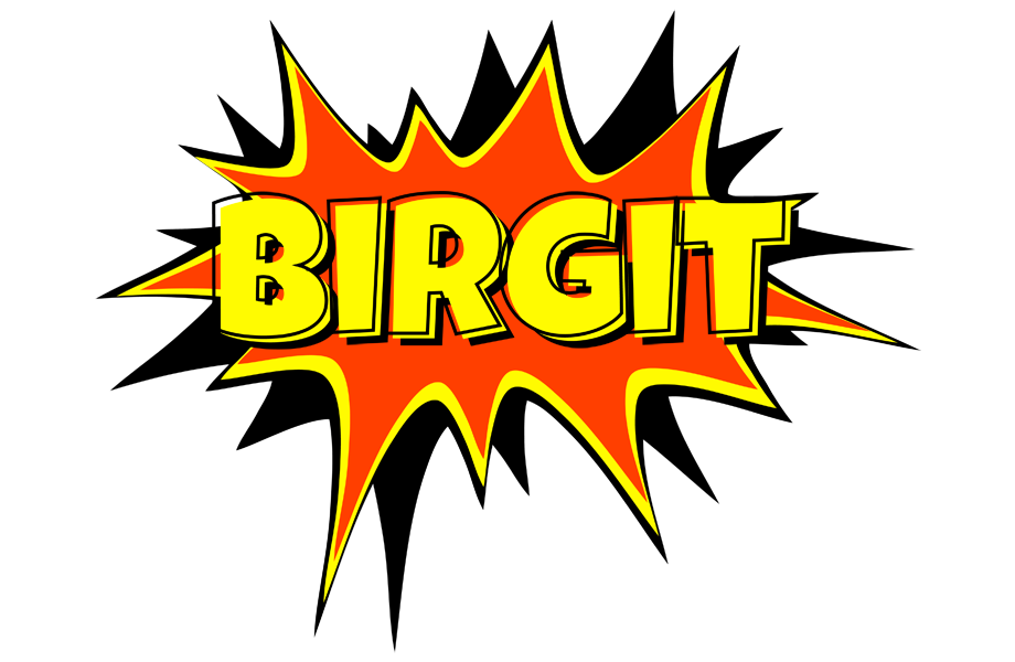 Birgit bazinga logo