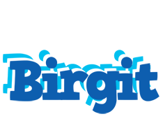 Birgit business logo