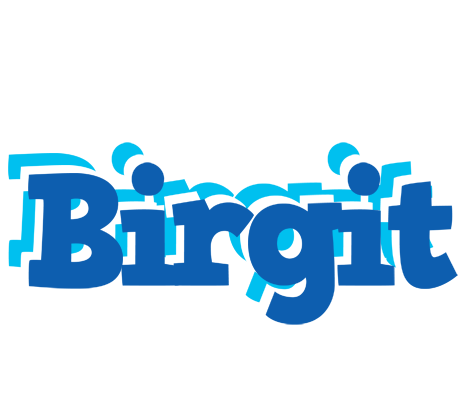 Birgit business logo