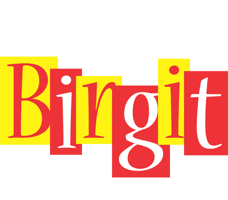 Birgit errors logo