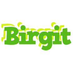 Birgit picnic logo