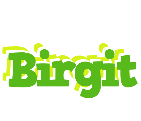 Birgit picnic logo