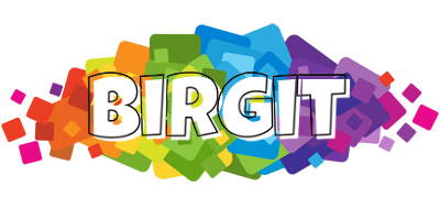 Birgit pixels logo