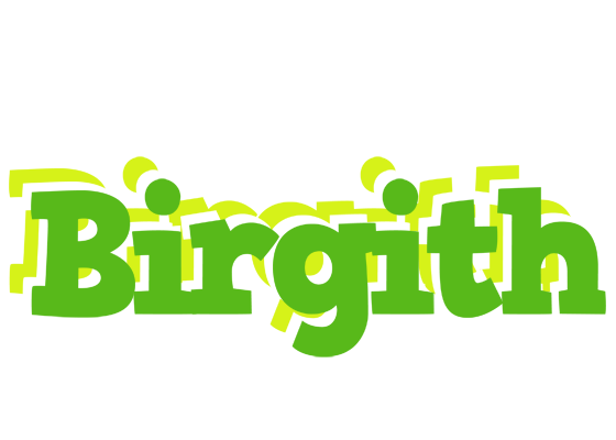 Birgith picnic logo