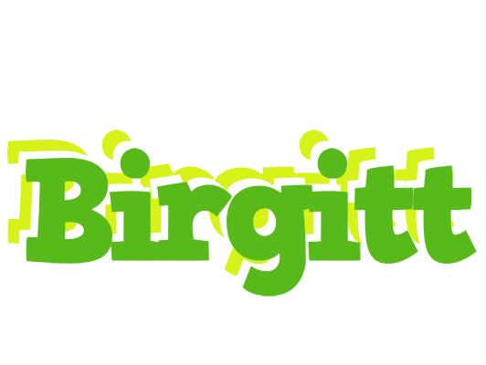 Birgitt picnic logo
