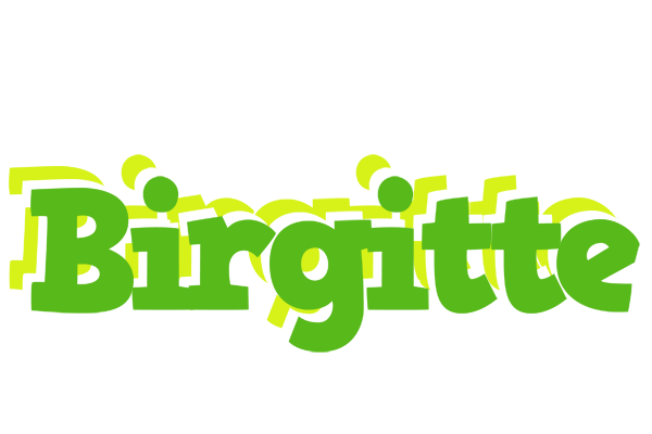 Birgitte picnic logo