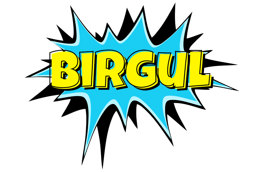 Birgul amazing logo