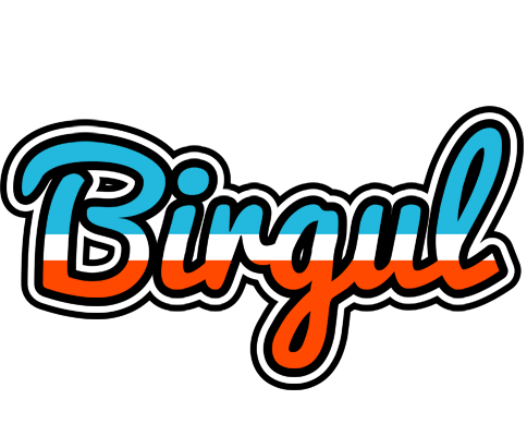Birgul america logo