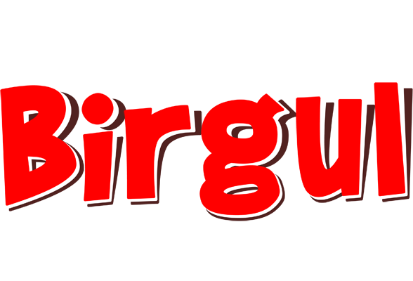 Birgul basket logo