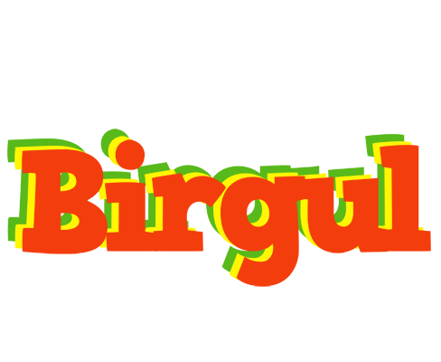 Birgul bbq logo
