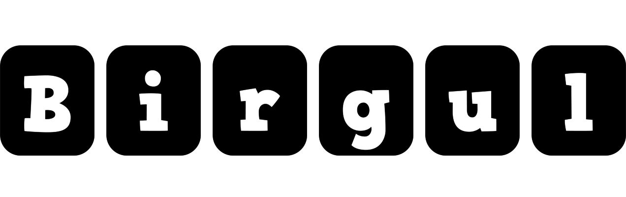 Birgul box logo