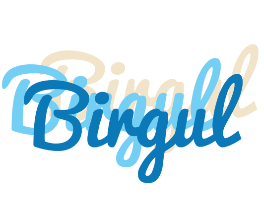 Birgul breeze logo